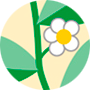 90px 938Illu05 Buch09
