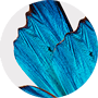 90px 958Werbg1 Juwelier13