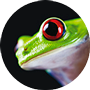 90px 960Werbg1 Juwelier22